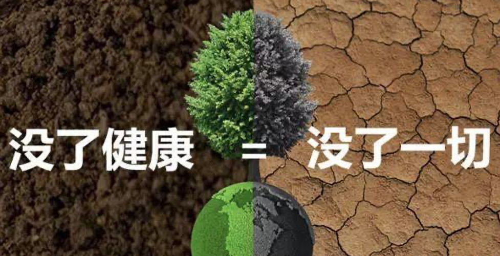 綠韻隆億金銀花領跑者